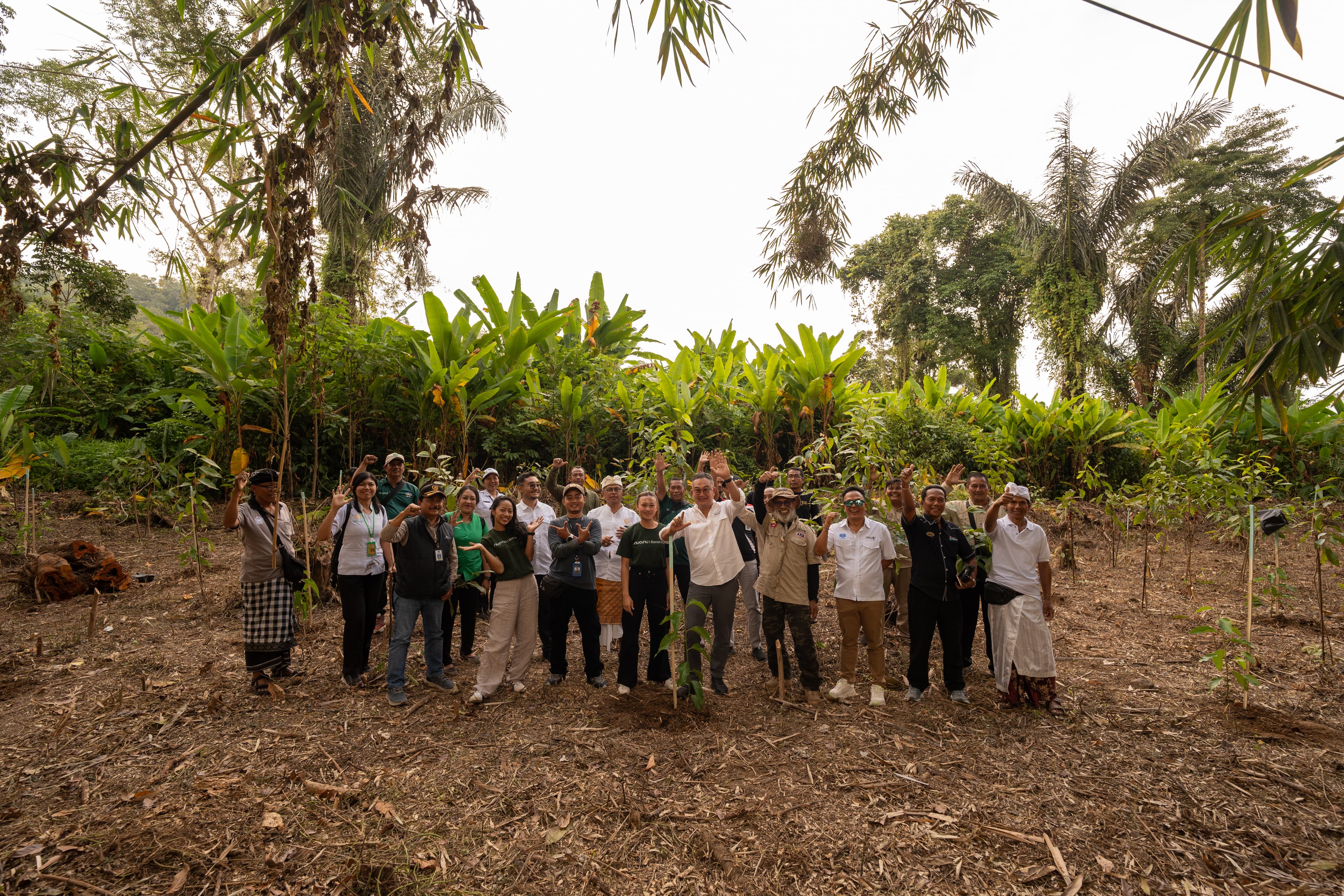 Nuanu and Bali Tourism Board Back Batukaru Reforestation, With a Year of Monitoring Funded