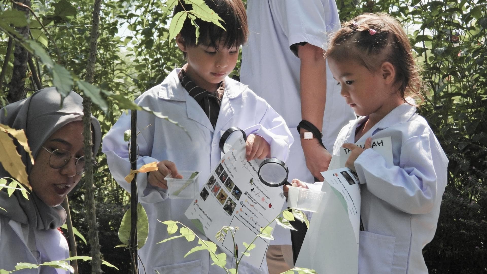 Mini Scientist
