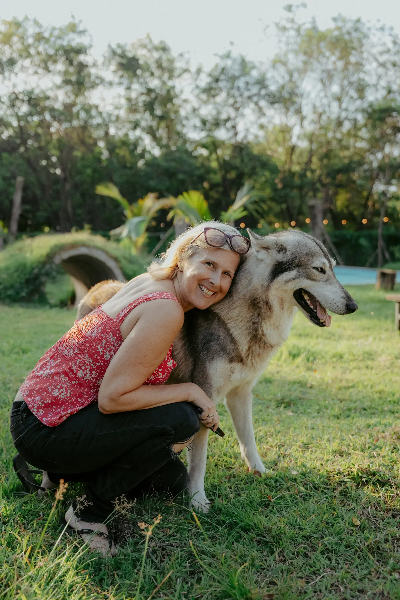 Alpha Wolf - image 4