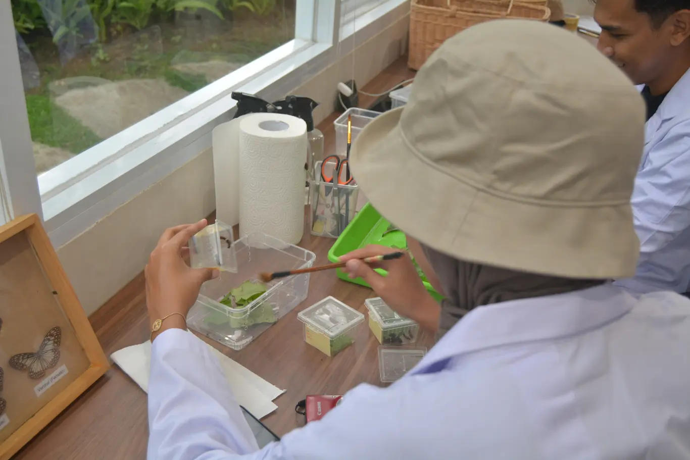 Magic Garden Mini Scientist