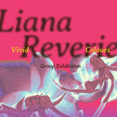 Liana Reverie - Vivid Colours