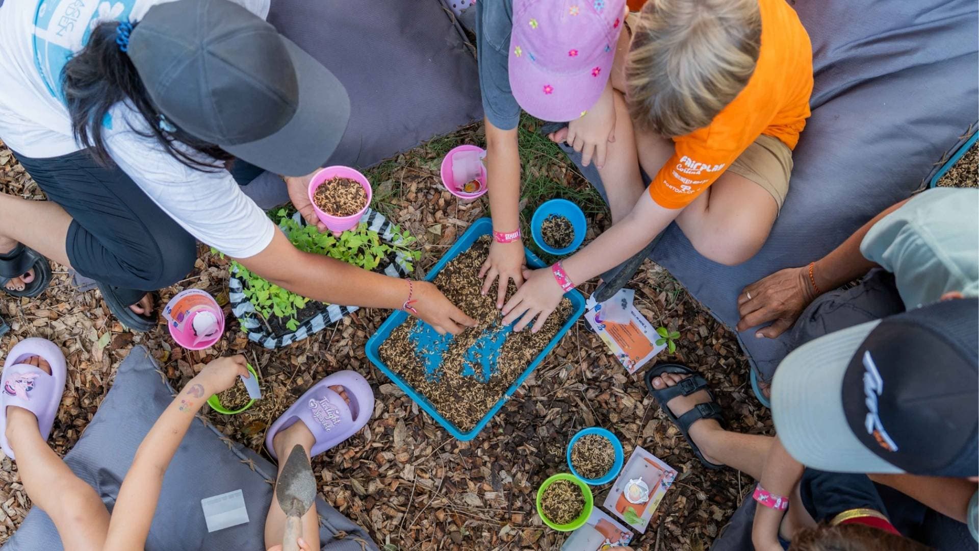 Seedling Workshop