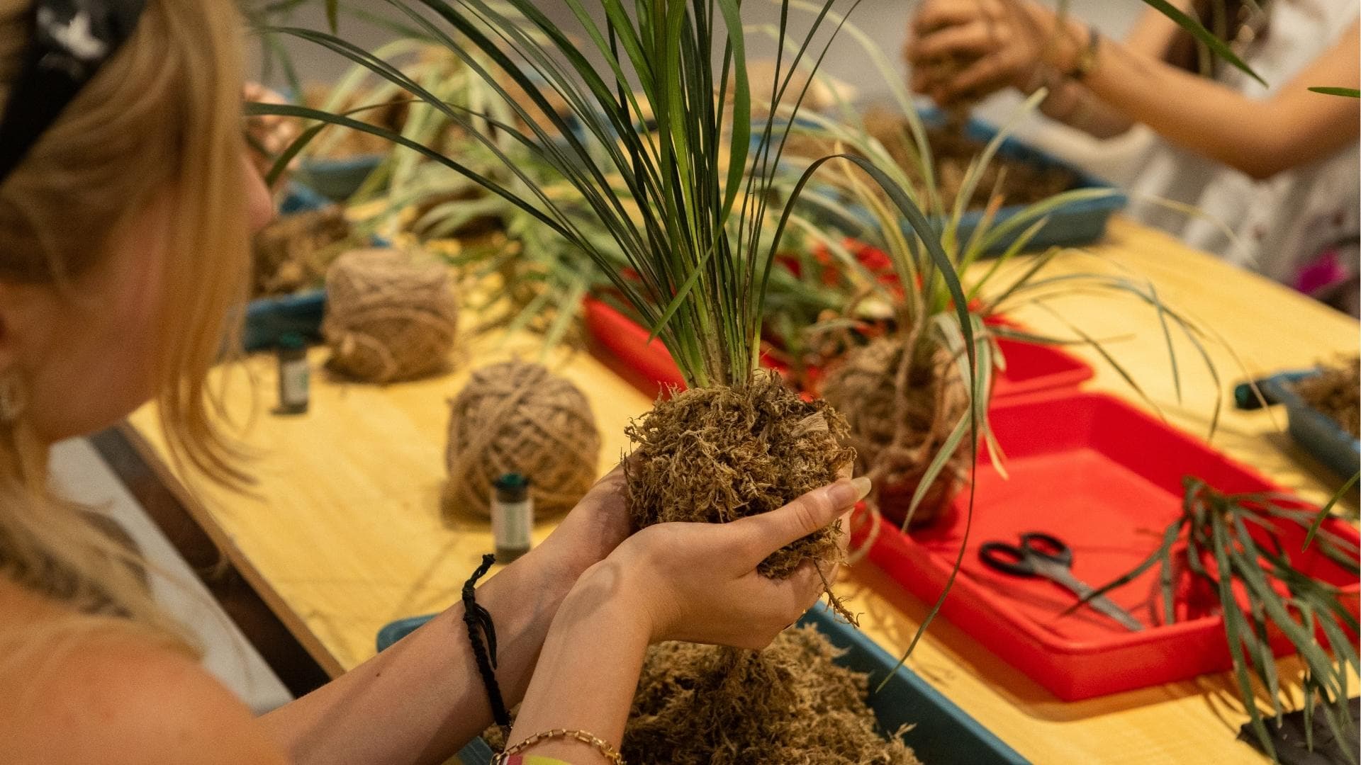 Kokedama Workshop